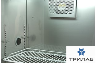 mir_154_pe_4.jpg