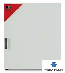 Сухожаровой шкаф 259 л, до +300 °С, принудительная вентиляция, FED 240, Binder