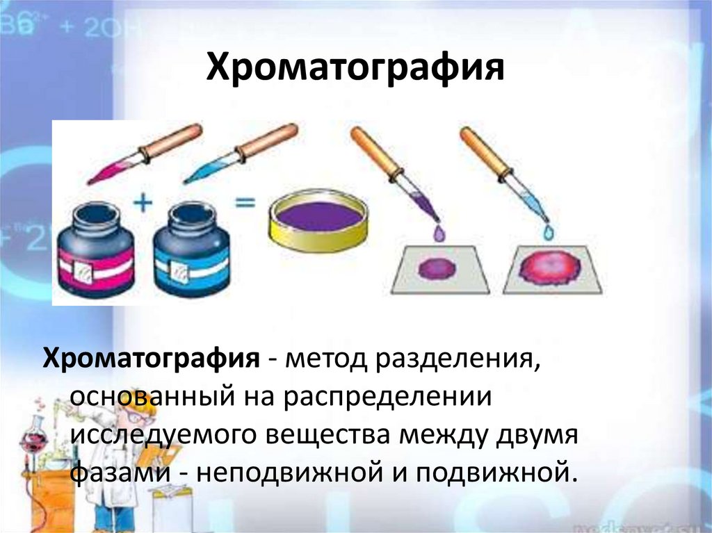 Основные виды Основные виды