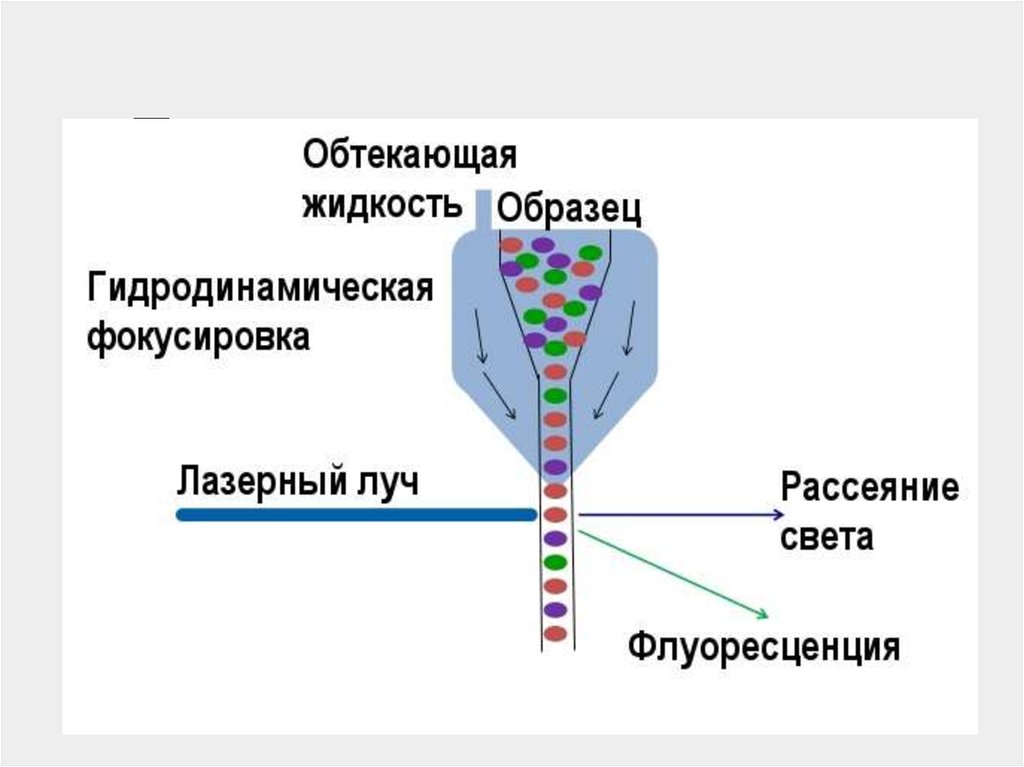 Принцип работы Принцип работы