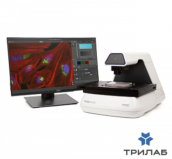 Система визуализации Evos M7000, моторизированный столик, 5 объективов, Thermo FS (аналог арт. CELEN