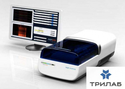 Электрофоретическая горизонтальная система для препаративного электрофореза ДНК/РНК/белков, BluePipp