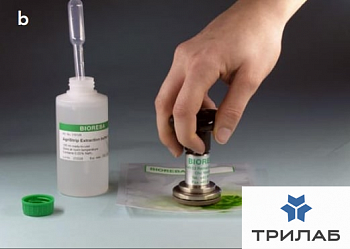 Экстрактор ручной для сочных зеленых частей растения, Bioreba