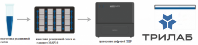 quantstudio_absolute_q_3.jpg