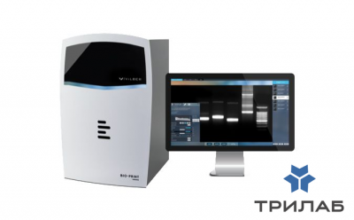 Гельдокументирующая система Bio-Print CX4 Edge, моторизованный зум, без трансиллюминатора, Vilber