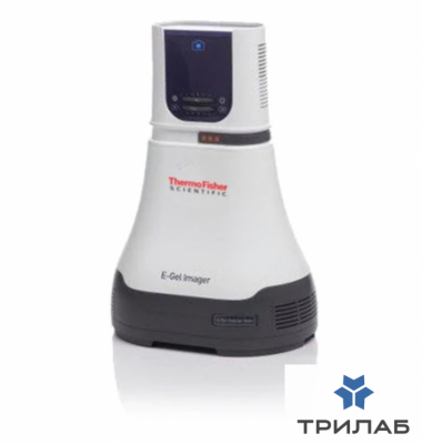 Гельдокументирующая система E-Gel Imager with E-Gel Adaptor, Thermo FS