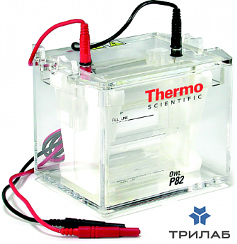 Электрофорезная вертикальная камера Owl P82 Dual-Gel, 8-10х10 см, 2 геля, Thermo FS (аналоги арт. SV