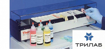 Автомат для окрашивания Linistat, Thermo FS