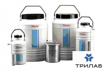 Криоконтейнер 4,3 л, Arctic Express 10, Thermo FS
