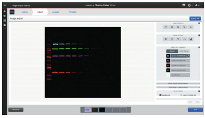 ibright_fl1500_imaging_system_192_2.jpg