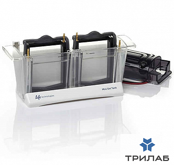 Электрофорезная вертикальная камера Mini Gel Tank, 8х8 см, 2 геля, Thermo FS