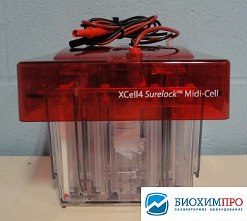 Электрофорезная вертикальная камера XCell SureLock Midi-Cell, 8х13 см, 4 геля, Thermo FS