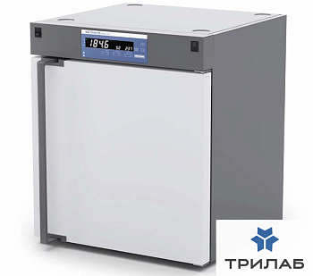 Сухожаровой шкаф 125 л, до +250 °С, естественная вентиляция, Oven 125 basic dry, IKA