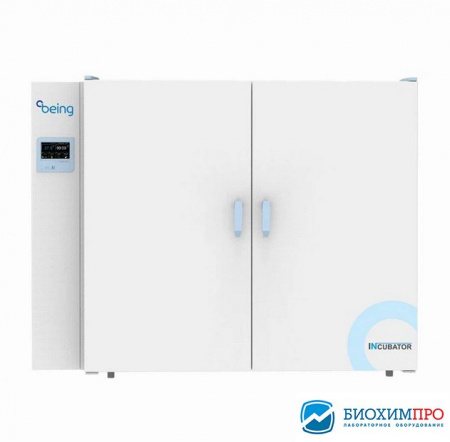 termostat_being_3100_2.jpg