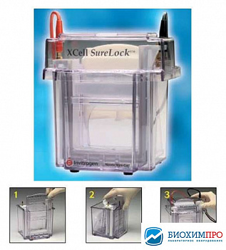 Электрофорезная вертикальная камера XCell SureLock Mini-Cell, 8х8 см, 2 мини-геля, Thermo FS (аналог