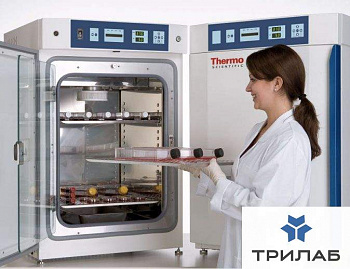 CO₂-инкубатор, 184 л, водяная рубашка, ТК-датчик, 8000 WJ 3429, Thermo FS