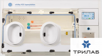 Клеточная станция для создания условий гипоксии, 300 л, HEPA, H35, Don Whitley Scientific